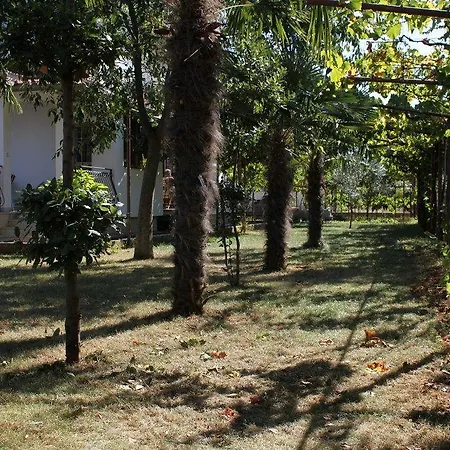 Studio 7195a Rovinj